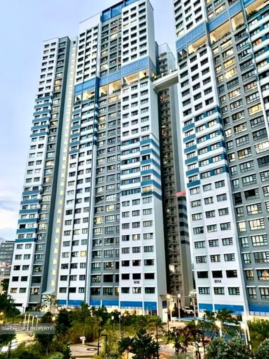 Blk 801B West Coast Parkview (Clementi), HDB 4 Rooms #530204041